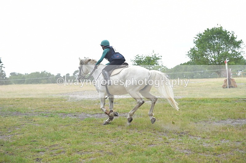 NGP_8428 - Time 12:08 to 12:15