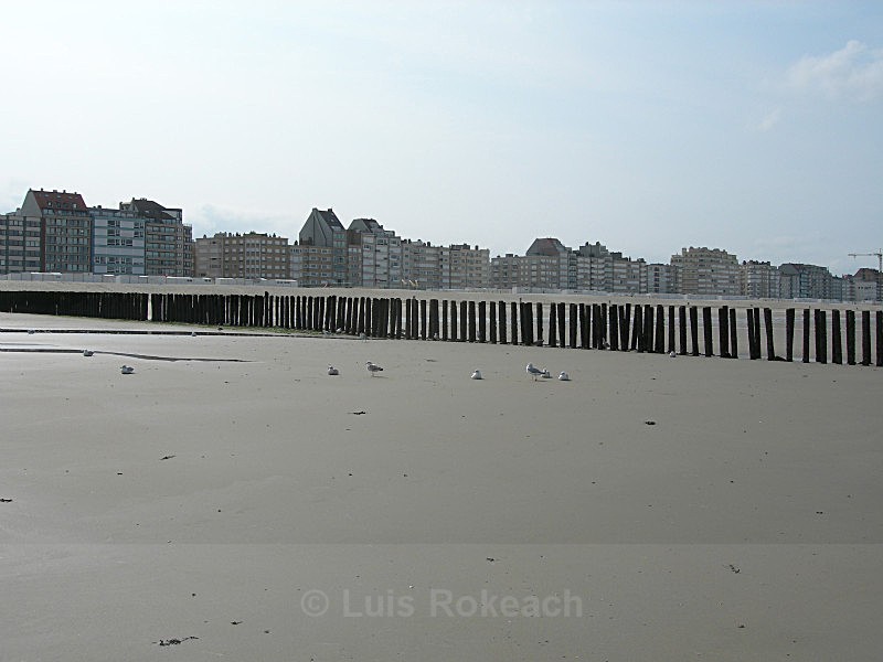  - Sea