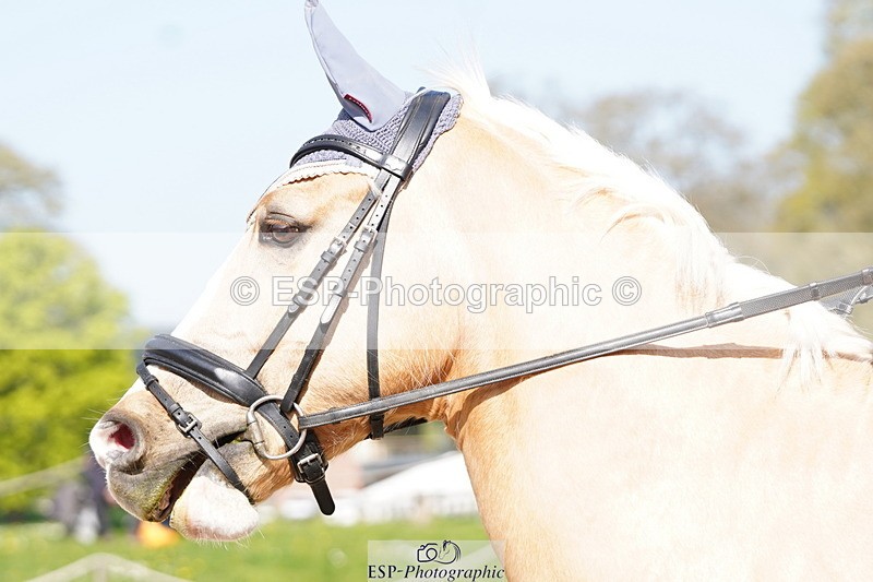 250420A-101618-00298 - Cls 02 70cm