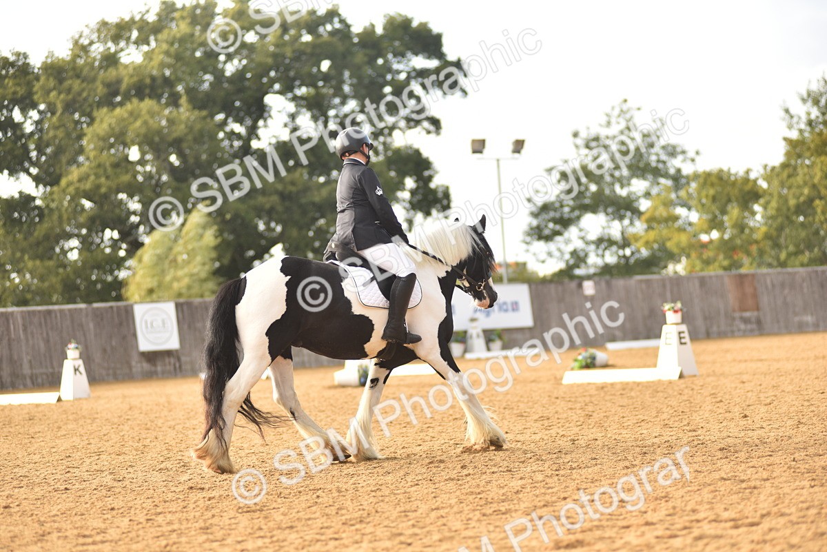 SBM_29764 - D16 -Small Tour Championship Novice 2
