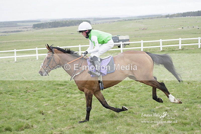 PtP 260323 1141 - New Forest Hounds Point-to-Point Larkhill 26/03/23