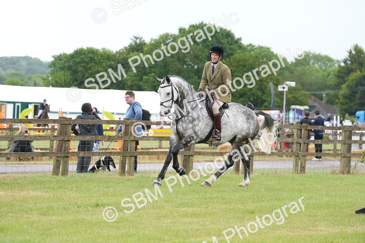 SBM_12703 - Class 97-98 - LIHS BSHA Rising Star Working Show Horse Hunter