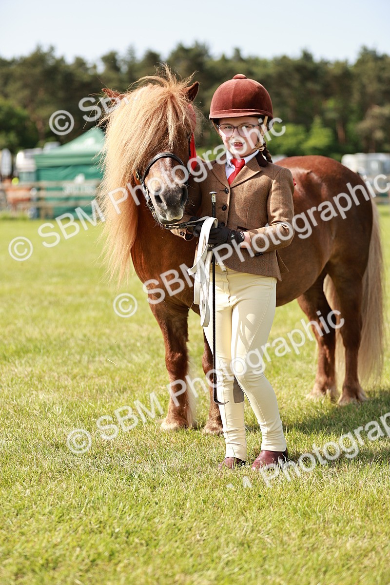 SBM_01849 - Class 14-23 - Mountain & Moorland In Hand Non Welsh