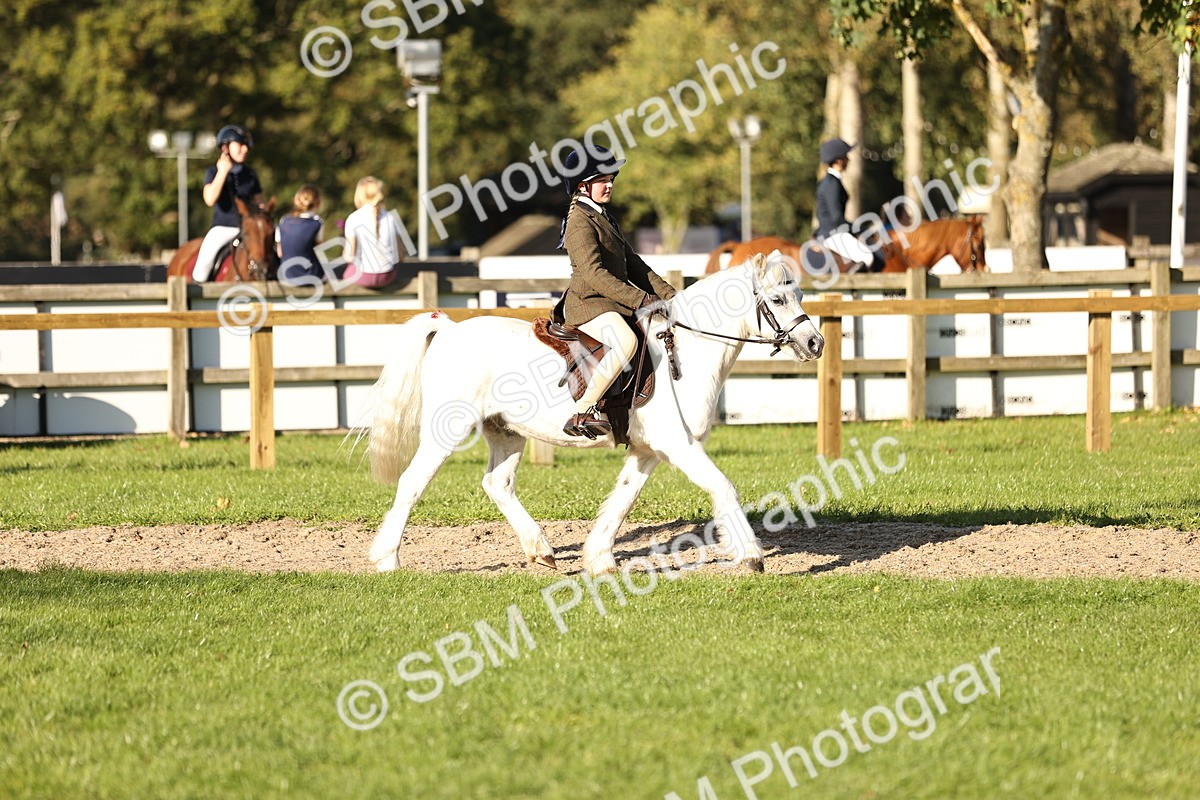 SBM_29446 - S7 - Novice & Newcomers Ridden Pony