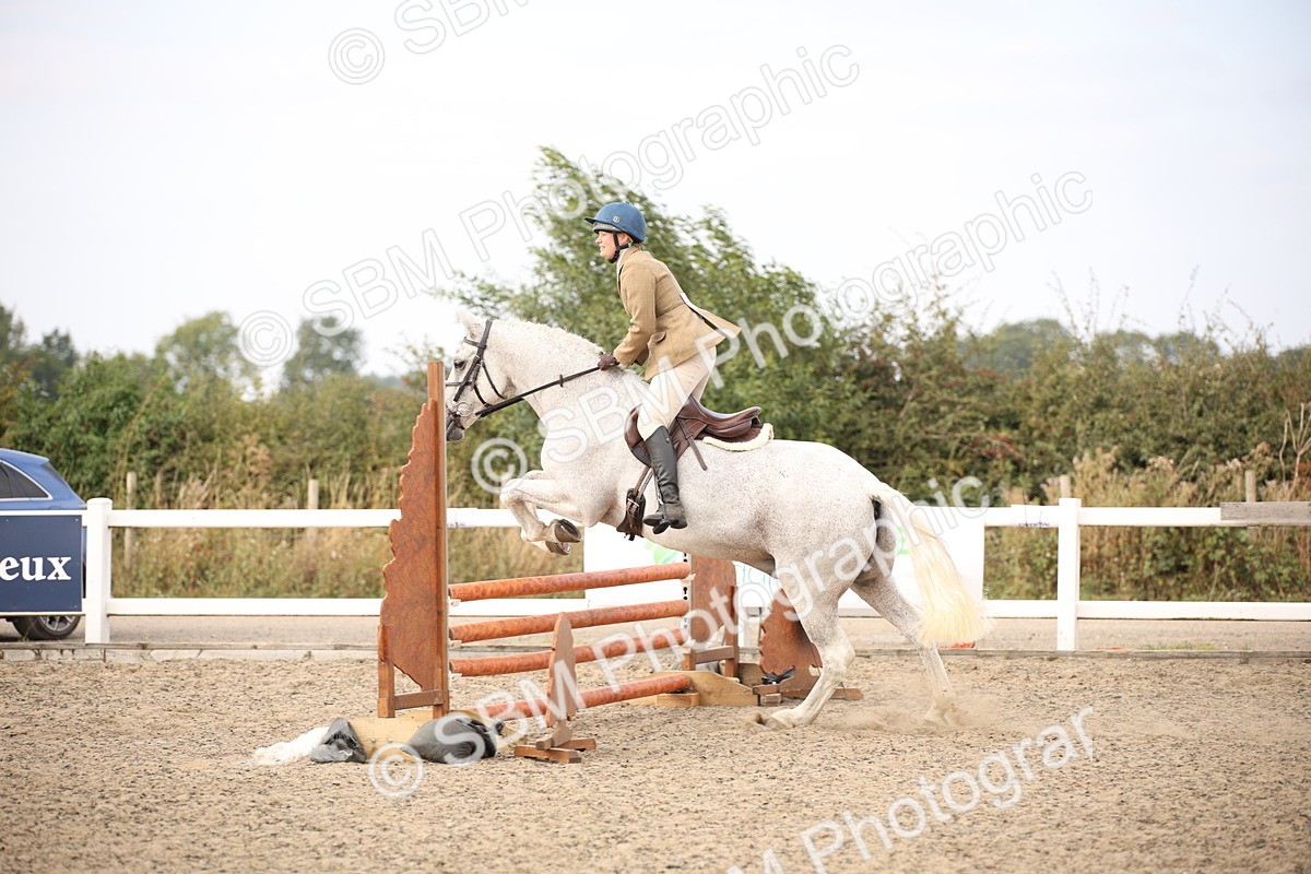 SBM_17345 - Class 410b - Working Veteran 90cm (20+)