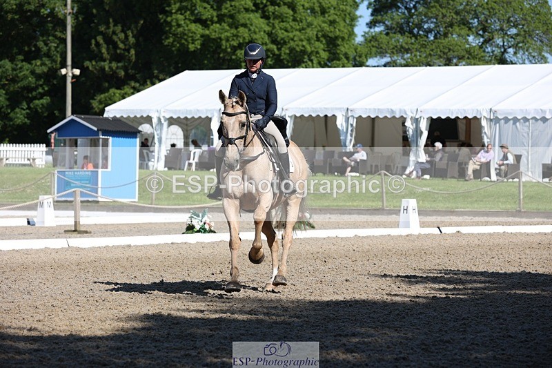 230526-093659-05109 - 356-THE_DUMB_BLONDE-Kat_Raybould-WEDTrotUp+DR