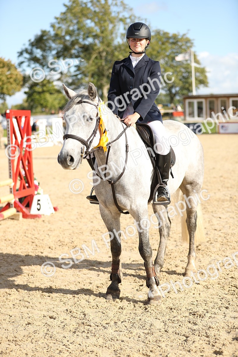 SBM_49660 - J22 - Junior Horse 65cm Championship