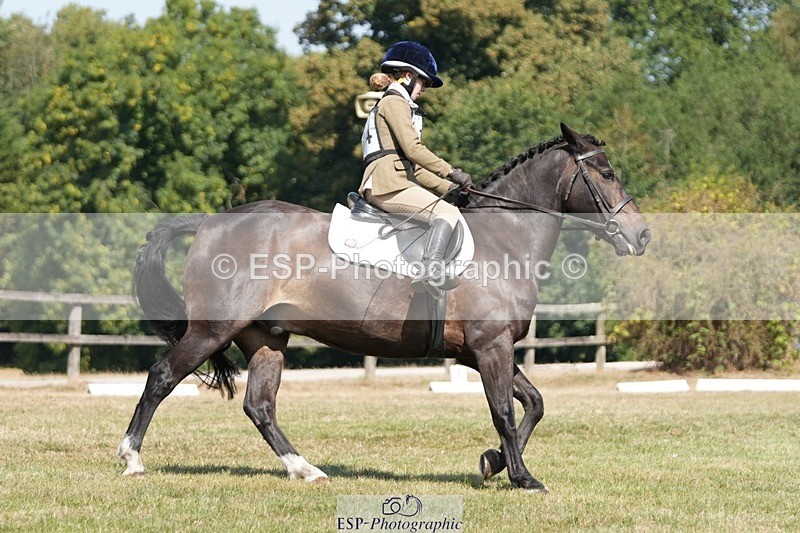 250823A-113836-28248 - Arena A