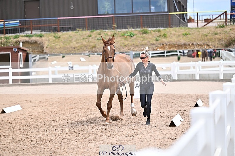 250716-132457-00493 - Trot Up 12.30 to 1.30