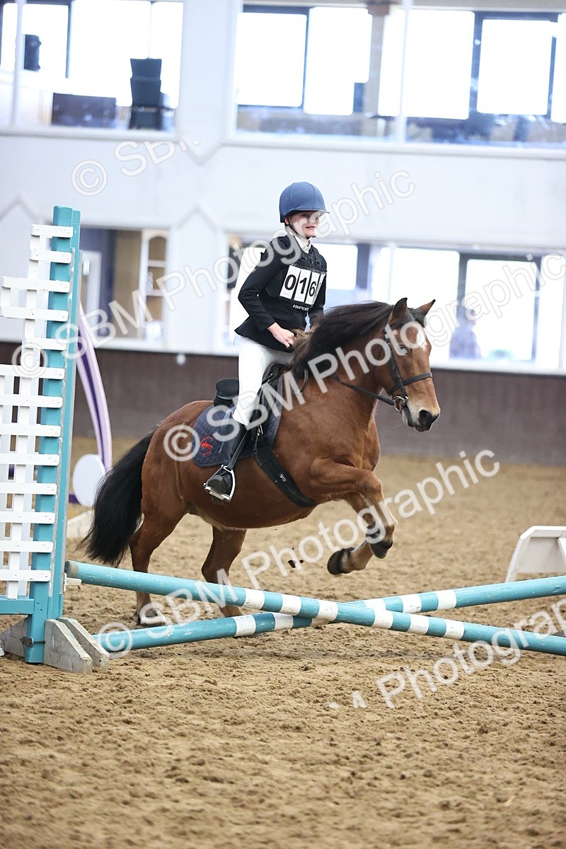 SBM_000146 - Class 2 - The Rug Lady 40cm Area 12 Championship Qualifier