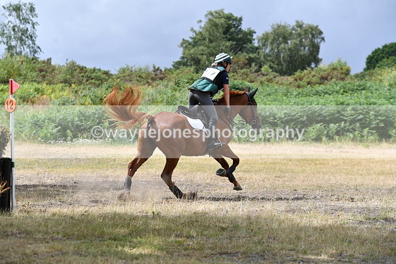 WJ5_1797 - XC Time 12:05 to 12:55
