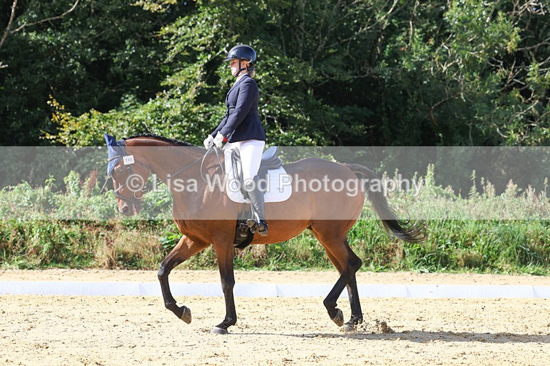 3E7A2559 - Class 1: Intro 4 2024 section A