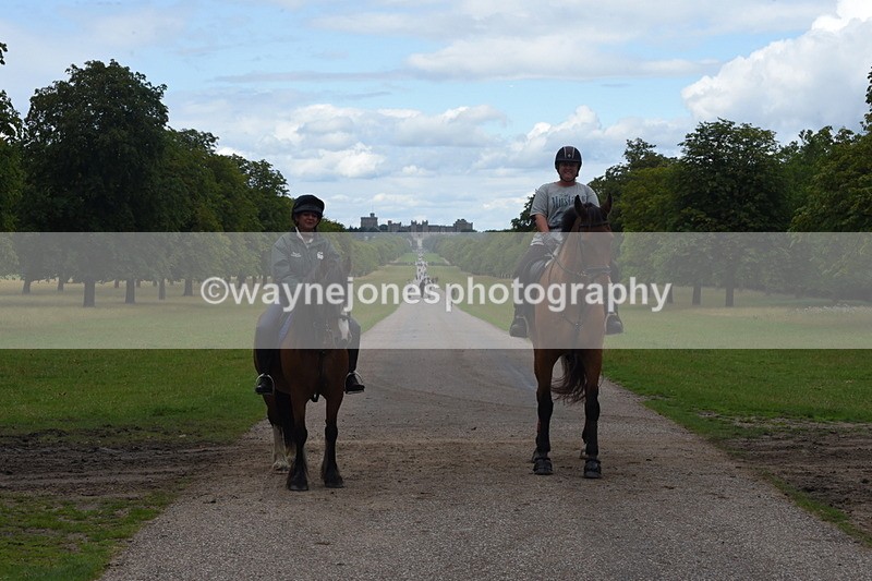 TT3_0449 - Time at Crossing 14:53 to 1526