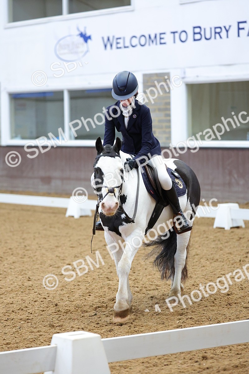 SBM_003103 - Novice