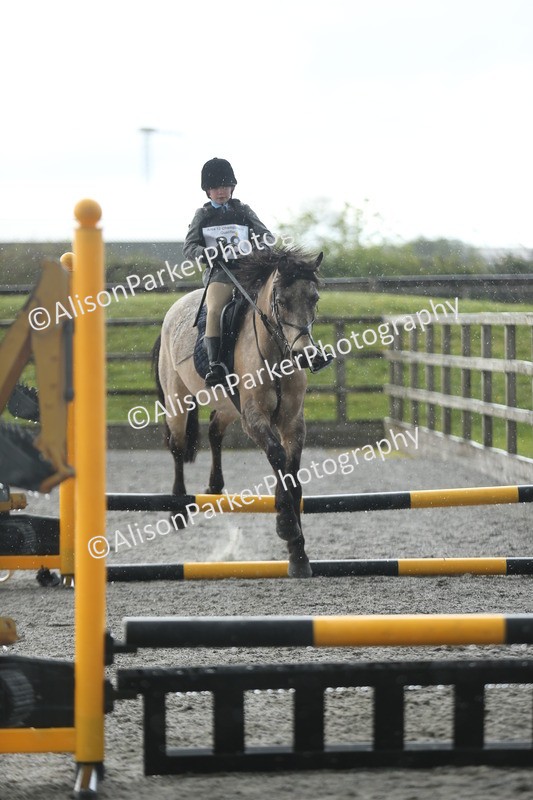 20260412-1942 - Show Jumping