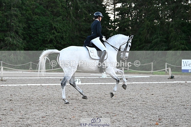 231110-163009-02657 - Cls 14 FEI Grand Prix