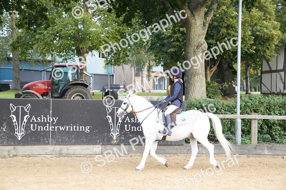 SBM_74966 - J4 - Mini Tour Junior Pony 45cm Championship
