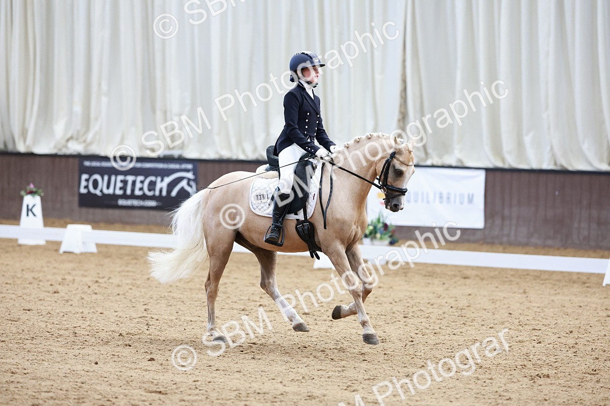 SBM_017376 - Class15 - FEI Pony