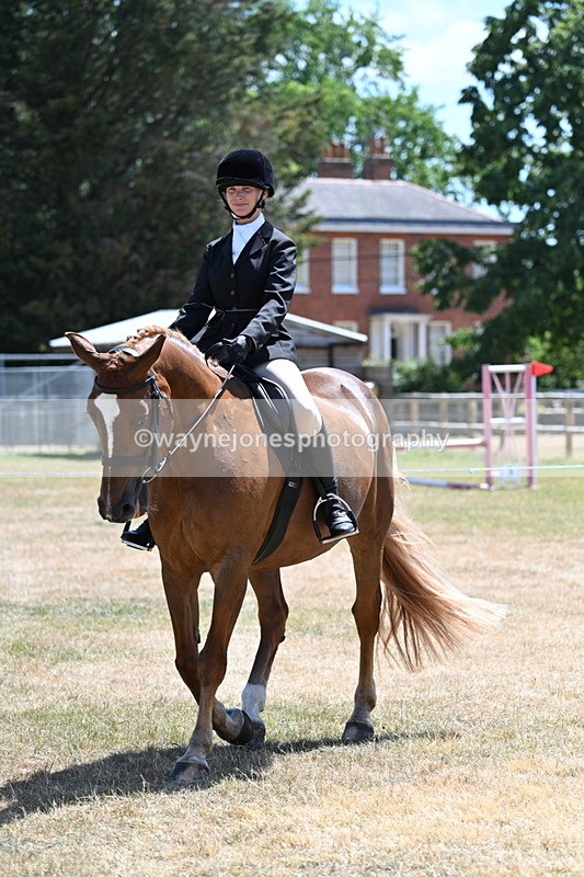 WJ7_2826 - Class 7 Riding Club Show Horse