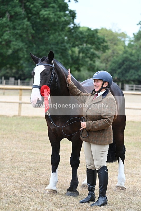 WJ7_0156 - Class 5a Most Handsome Gelding (above 14.2hh)