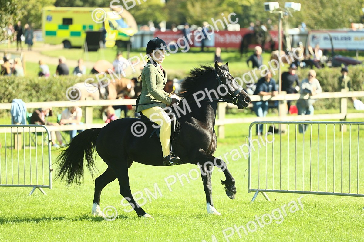 SBM_39110 - S29 - Novice & Newcomers Working Hunter Pony