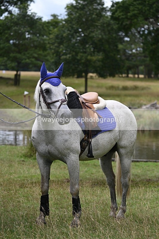 WJ7_4014 - Time at Water 12:52 to 13:22