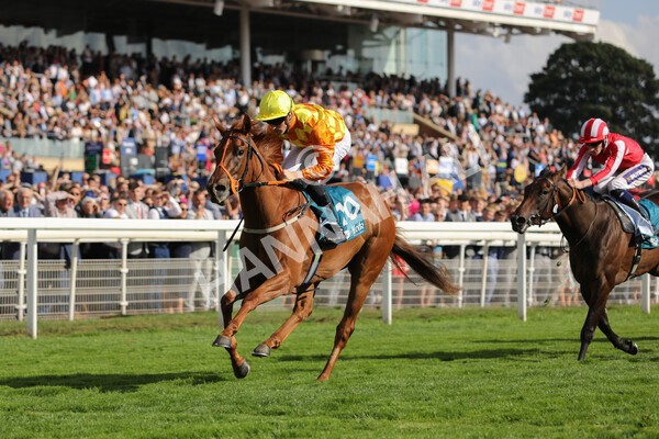 yr20082022r6-14 - Race 6 4.45 pm Julia Graves Roses Stakes