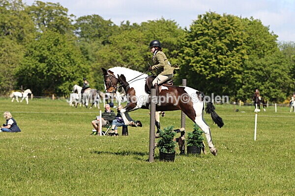 IMG_4097 - Working Hunter