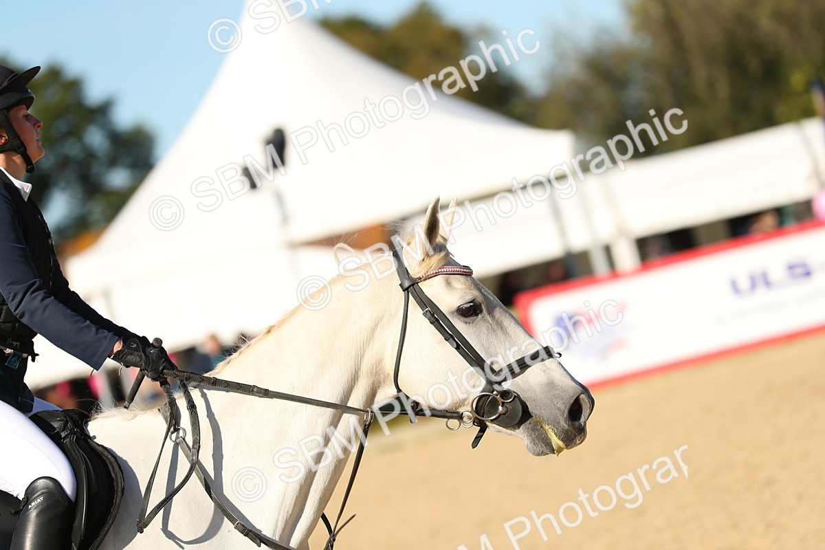 SBM_16626 - J33 - Senior 75cm Championship