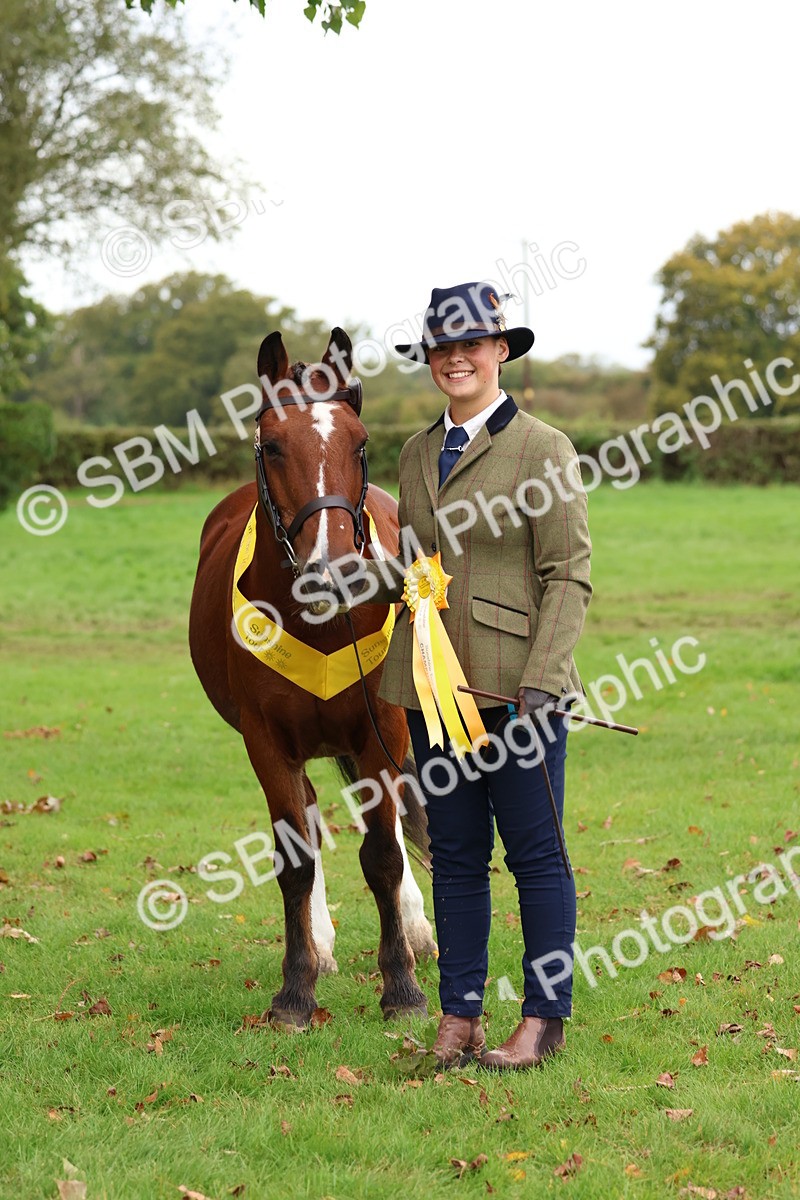 SBM_41751 - S26 - Mature Veteran In Hand