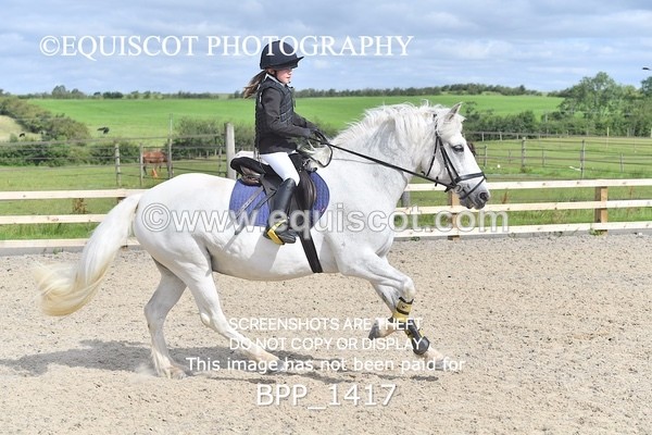 BPP_1417 - DERBY CLASS 2 - 30CM