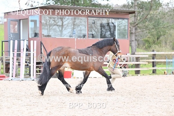BPP_8030 - SUPREME CHAMPIONSHIP