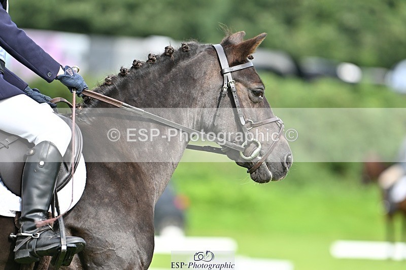 230826-102012-16432 - Sections A & B 10 to End