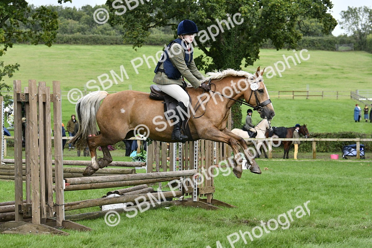SBM_42239 - S32 - Mountain & Moorland Working Hunter Pony
