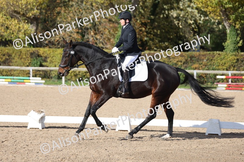 20251101-0606 - Class 4 - Novice 2