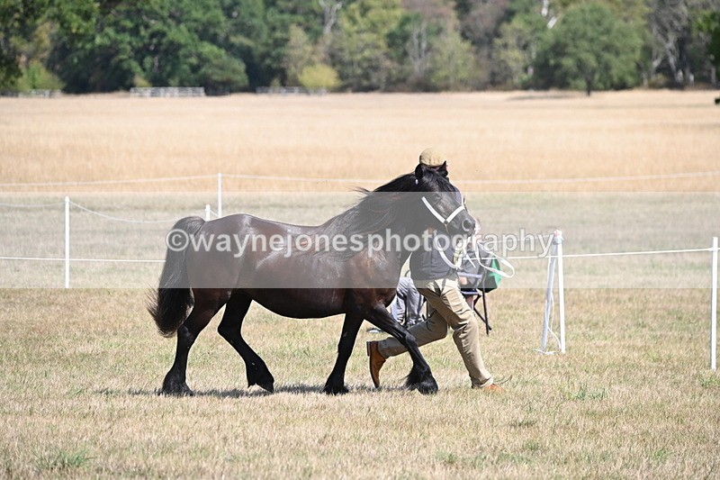 WJ6_5118 - Class 17 Mountain & Moorland