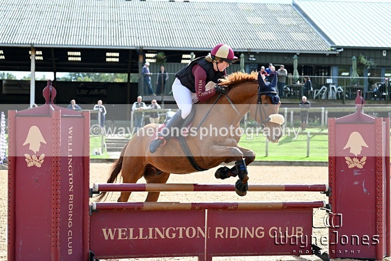 WJ7_3145 - edited examples