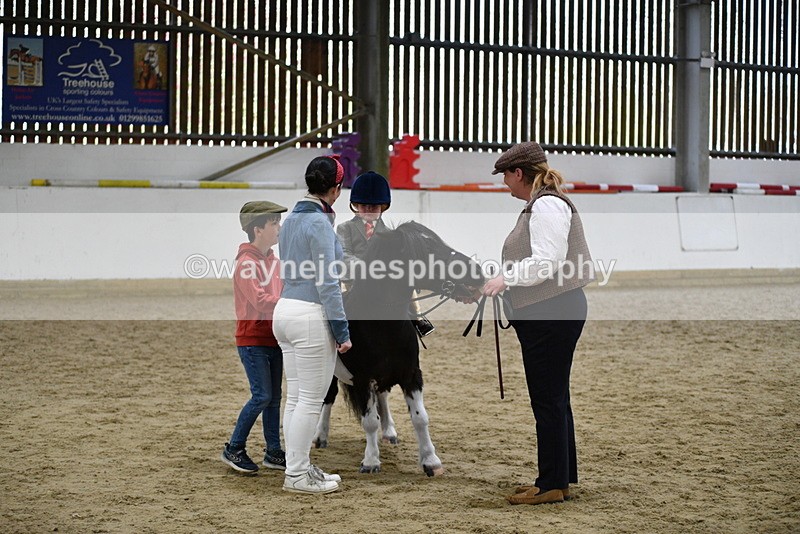 WJ5_6639 - Class 10 Childs Pony