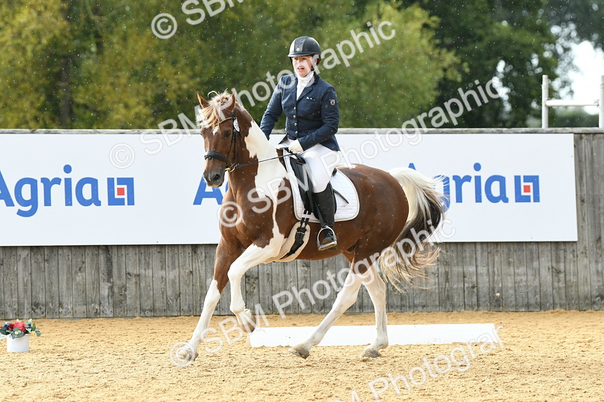 SBM_11077 - D28 Elementary Taster Elementary 42