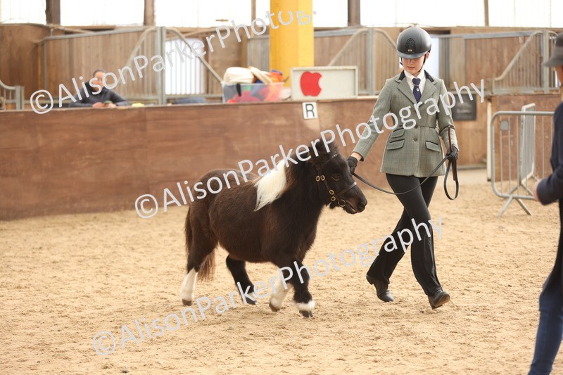 20251109-0404 - Class 15 - Coloureds