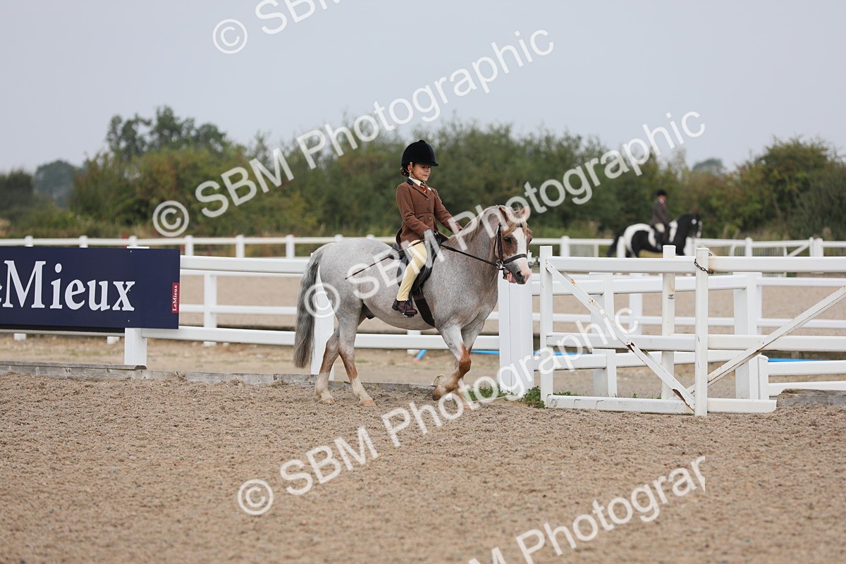 SBM_12662 - Class 307 Ridden Coloured Pony