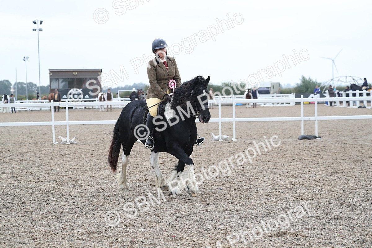 SBM_22087 - Class 603 - 2025 Area Ridden Pre Vet