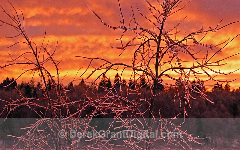 Frozen Twilight - Sunset/Moonrise