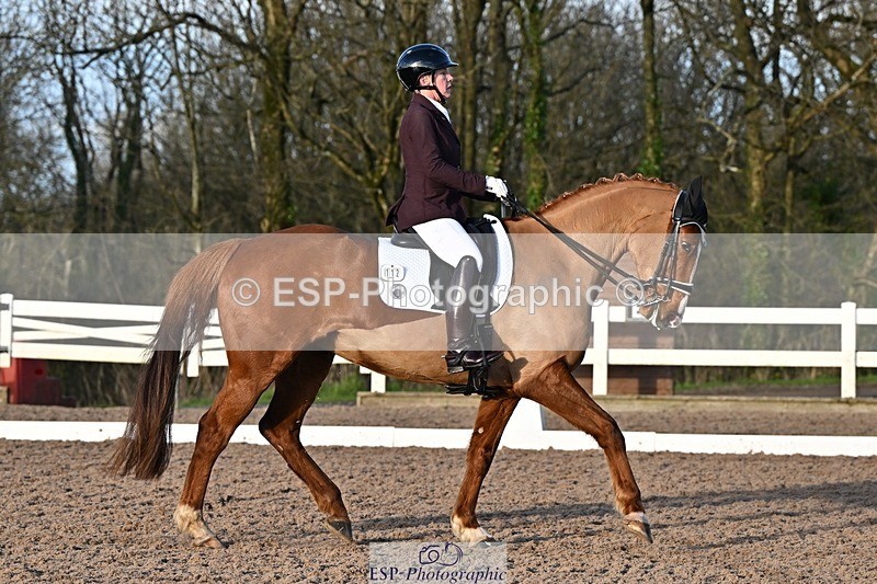 241214-142623-02840 - 112-kelly.jewell-Avalon