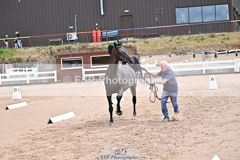 250716-130658-00338 - Trot Up 12.30 to 1.30