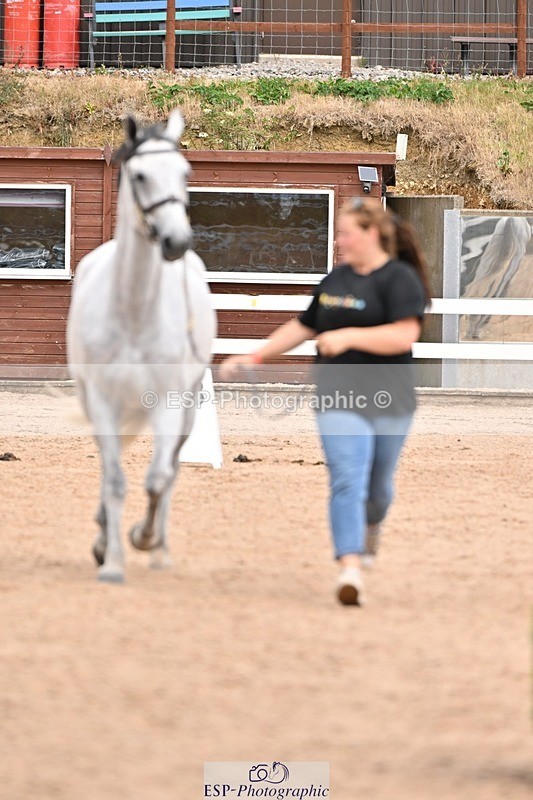 250716-154650-02182 - Trot Up 3.30 to 4.30