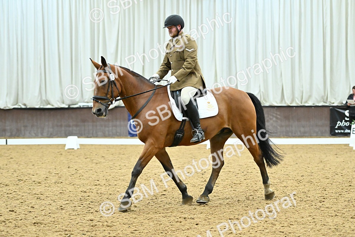 SBM_007429 - Class 81 - Novice 3