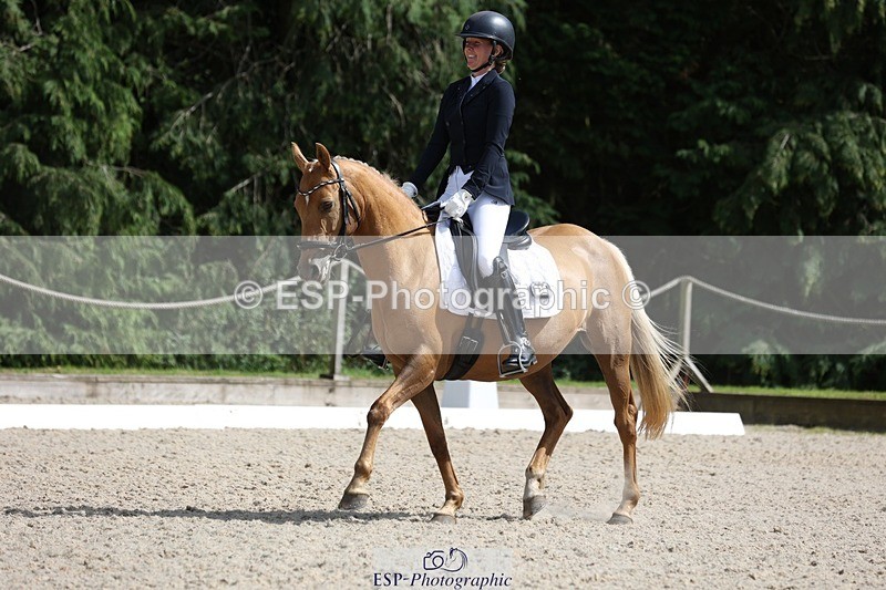 230811-151356-02396 - Cls 1 Prelim Bronze 15.00 to End