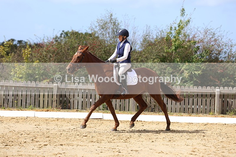 3E7A3994 - Class 9: Novice 6 Section B Championship