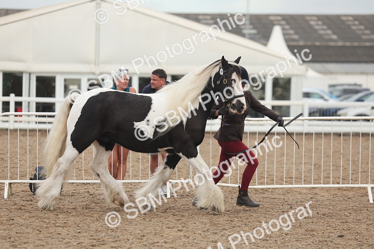 SBM_08417 - Class 29 - IH Veteran Pony